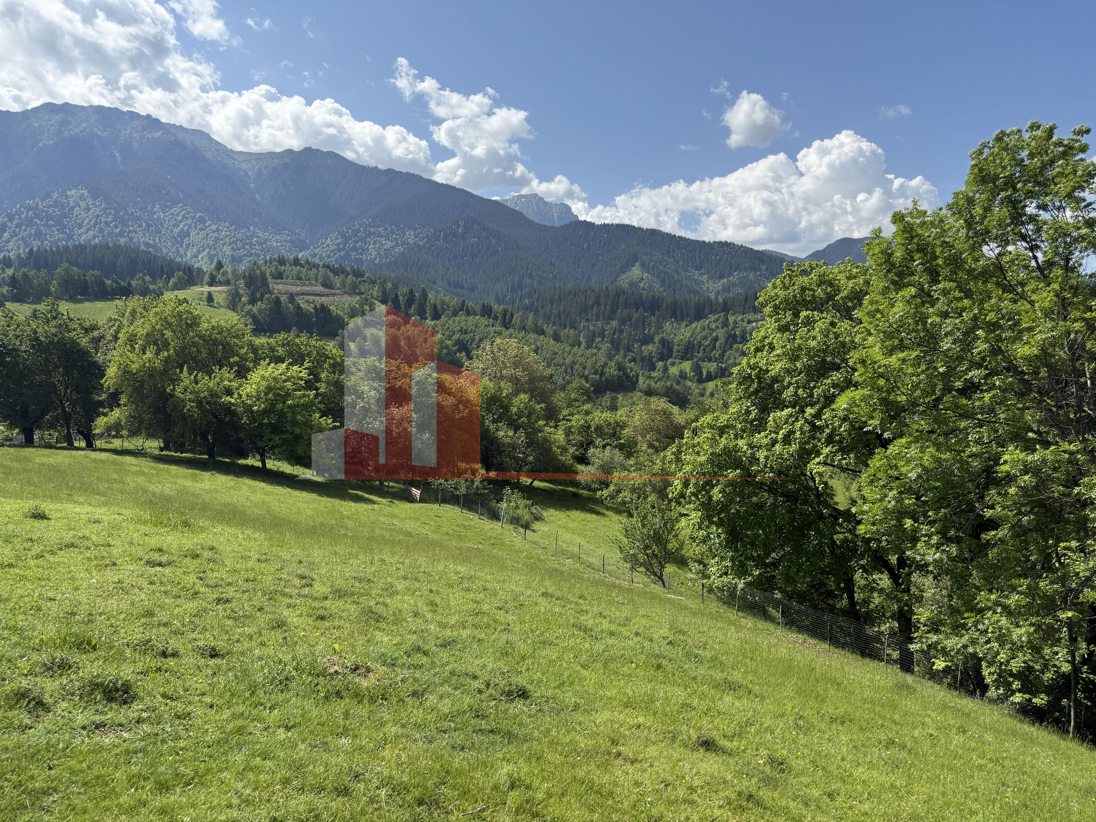 Teren cu priveliște spectaculoasă în Bran – Sohodol - 13
