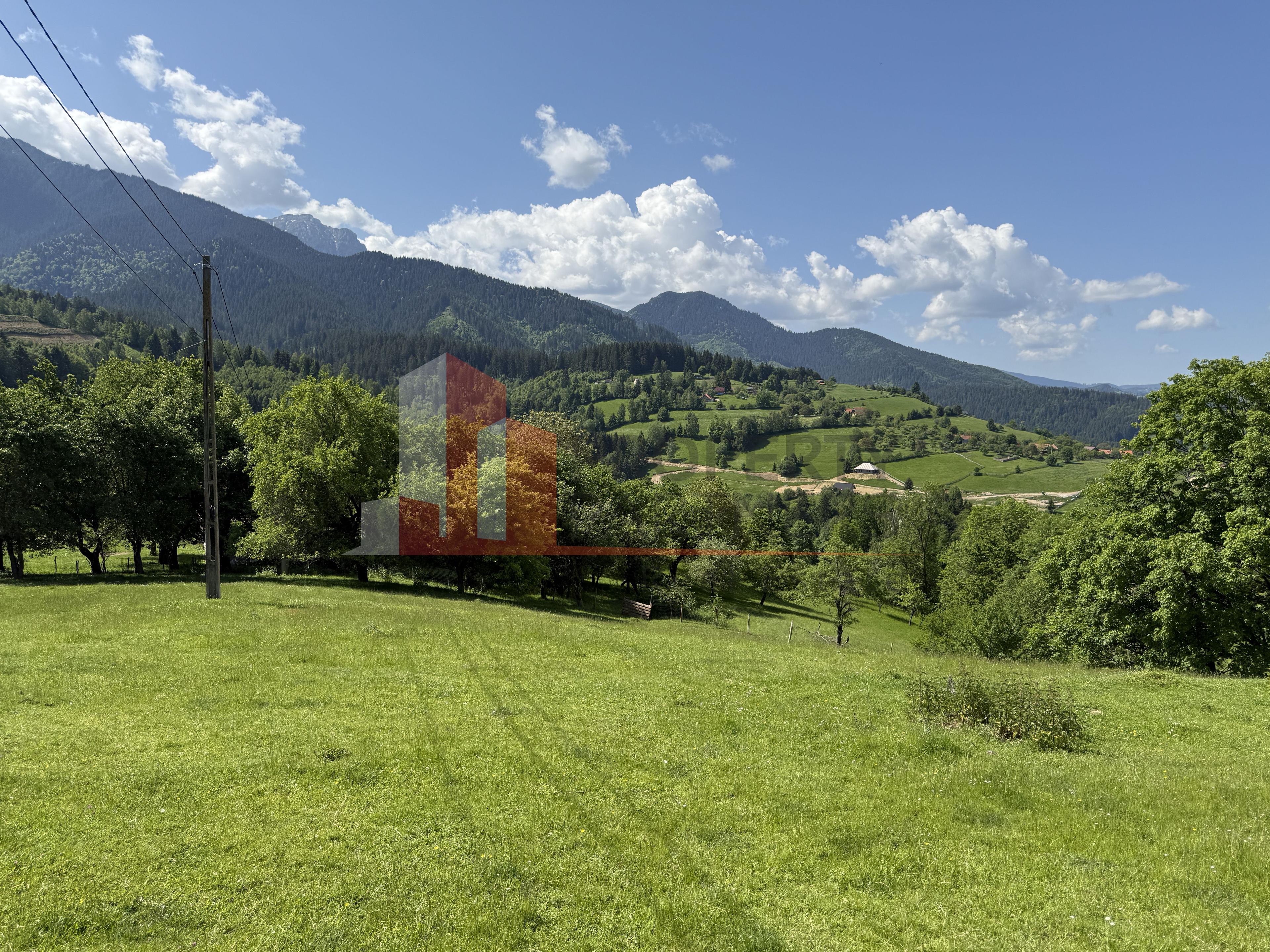 Teren cu priveliște spectaculoasă în Bran – Sohodol - 11