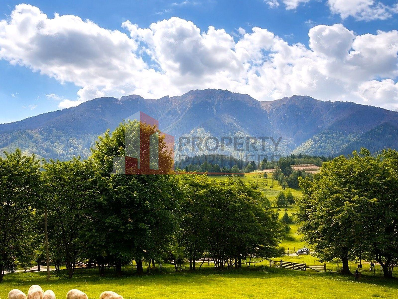 Teren cu priveliște spectaculoasă în Bran – Sohodol - 1
