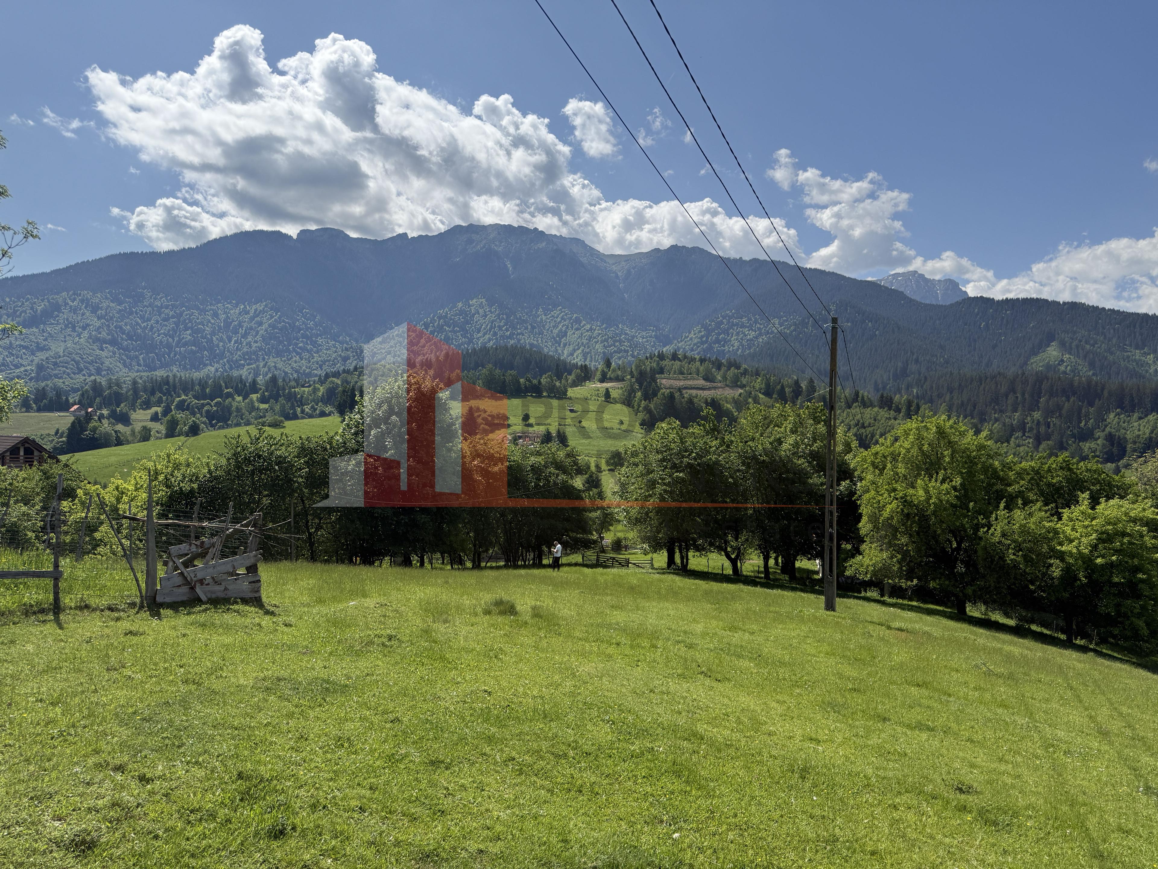 Teren cu priveliște spectaculoasă în Bran – Sohodol - 10