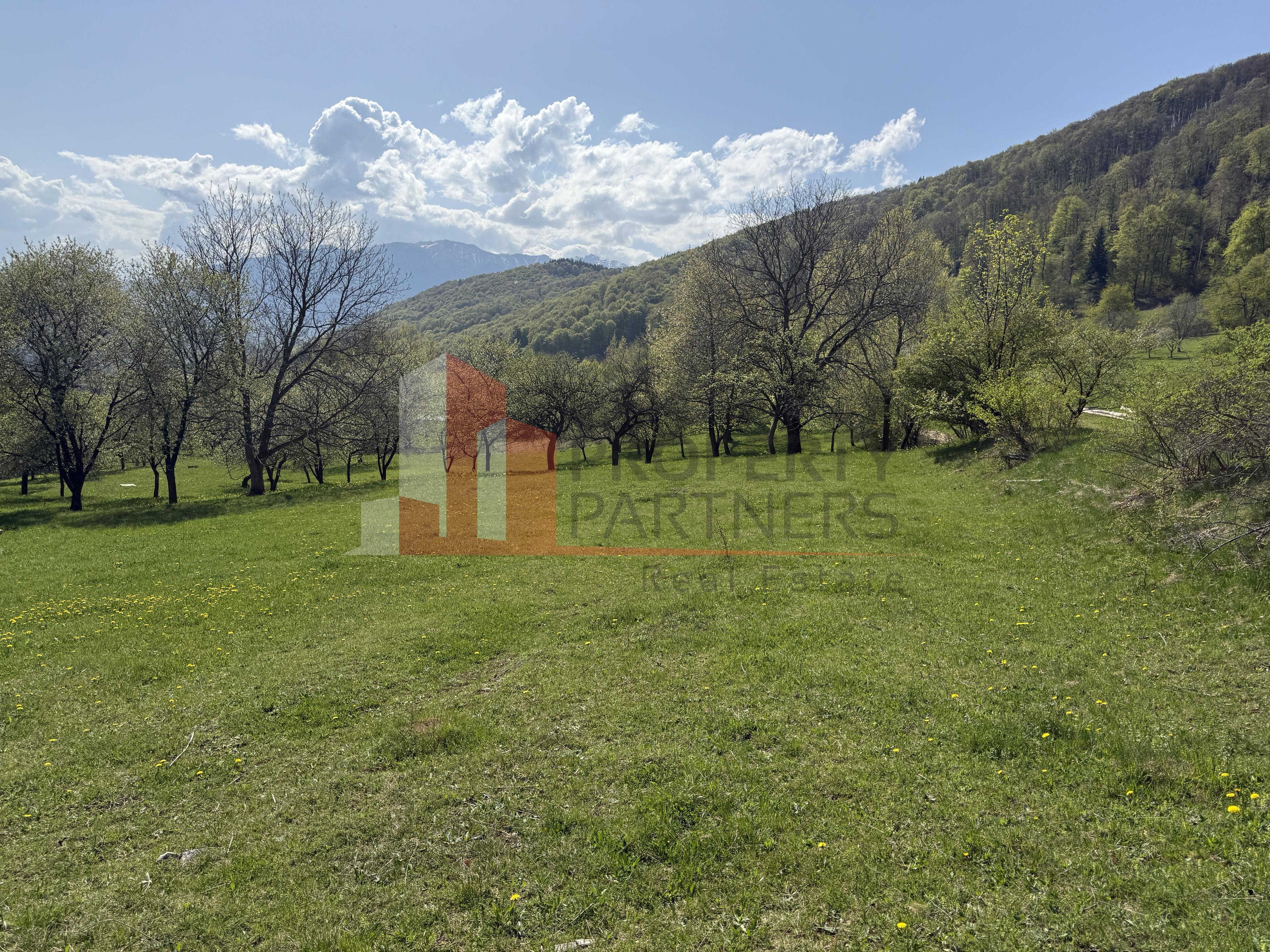 Terenuri Bran - Predelut Priveliște către Bucegi și Postăvaru - 1