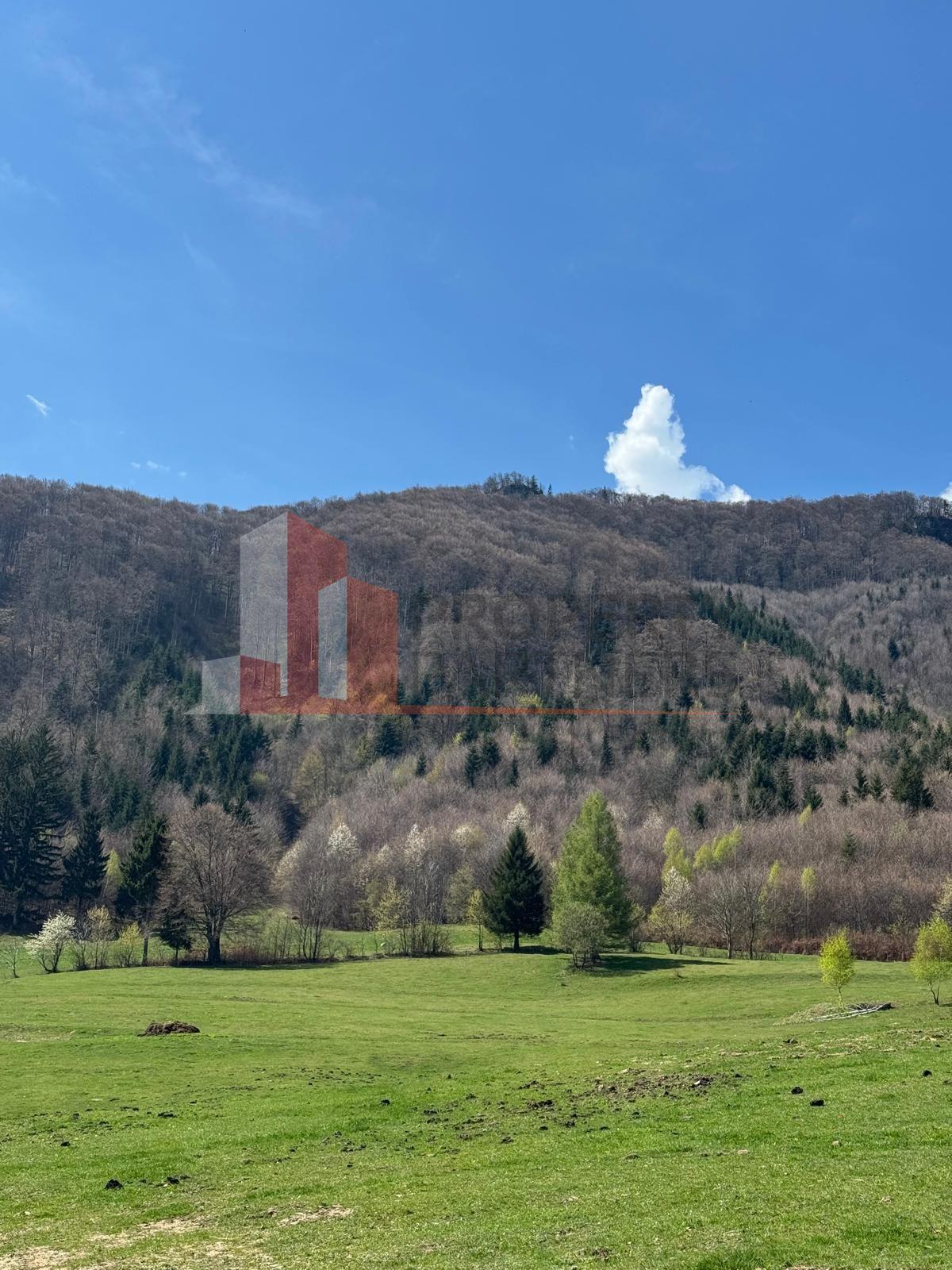 Terenuri Bran - Predelut Priveliște către Bucegi și Postăvaru - 12