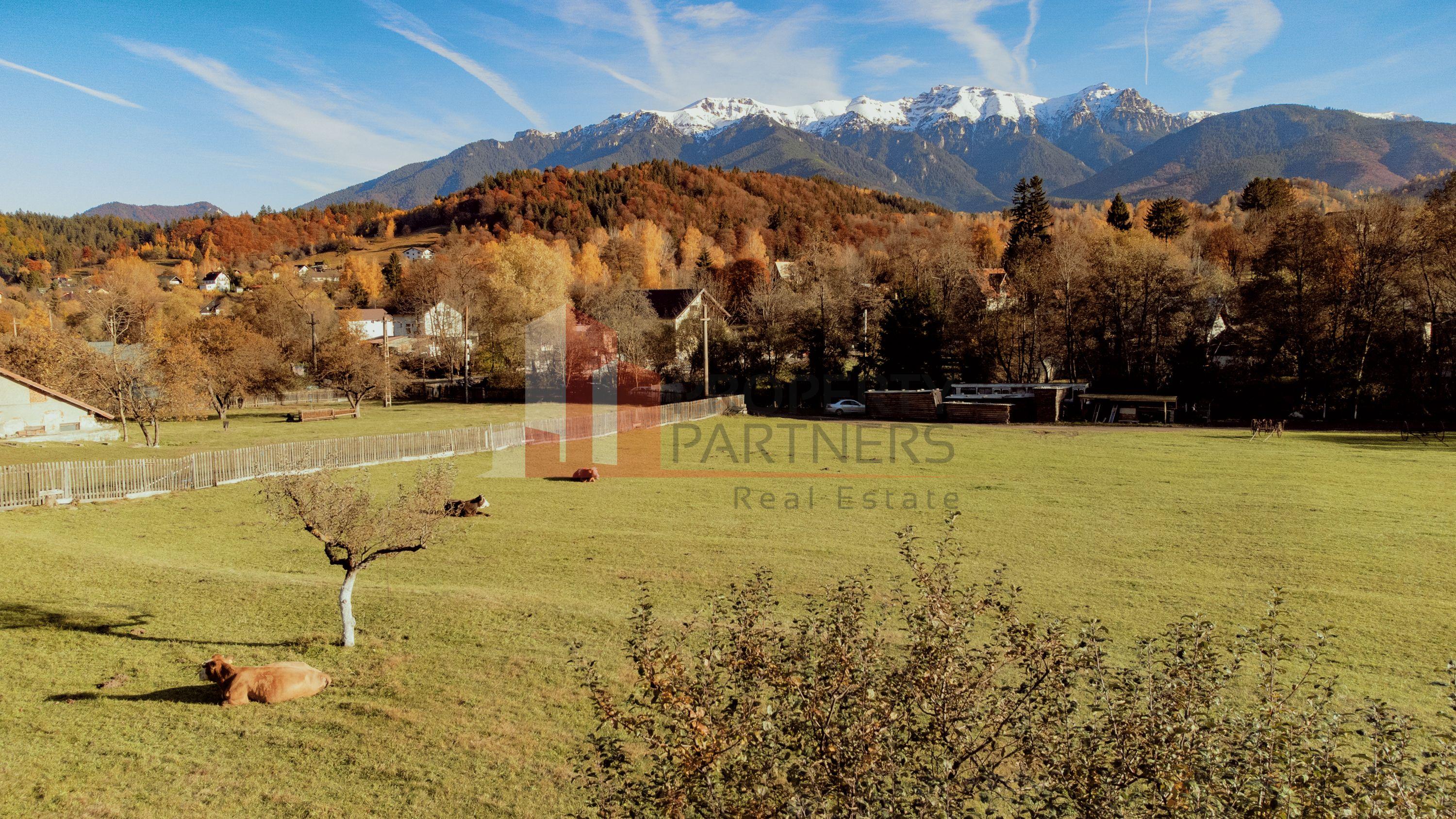 Teren 15.941 mp Moieciu | parcelabil | aproape de Castelul Bran - 1