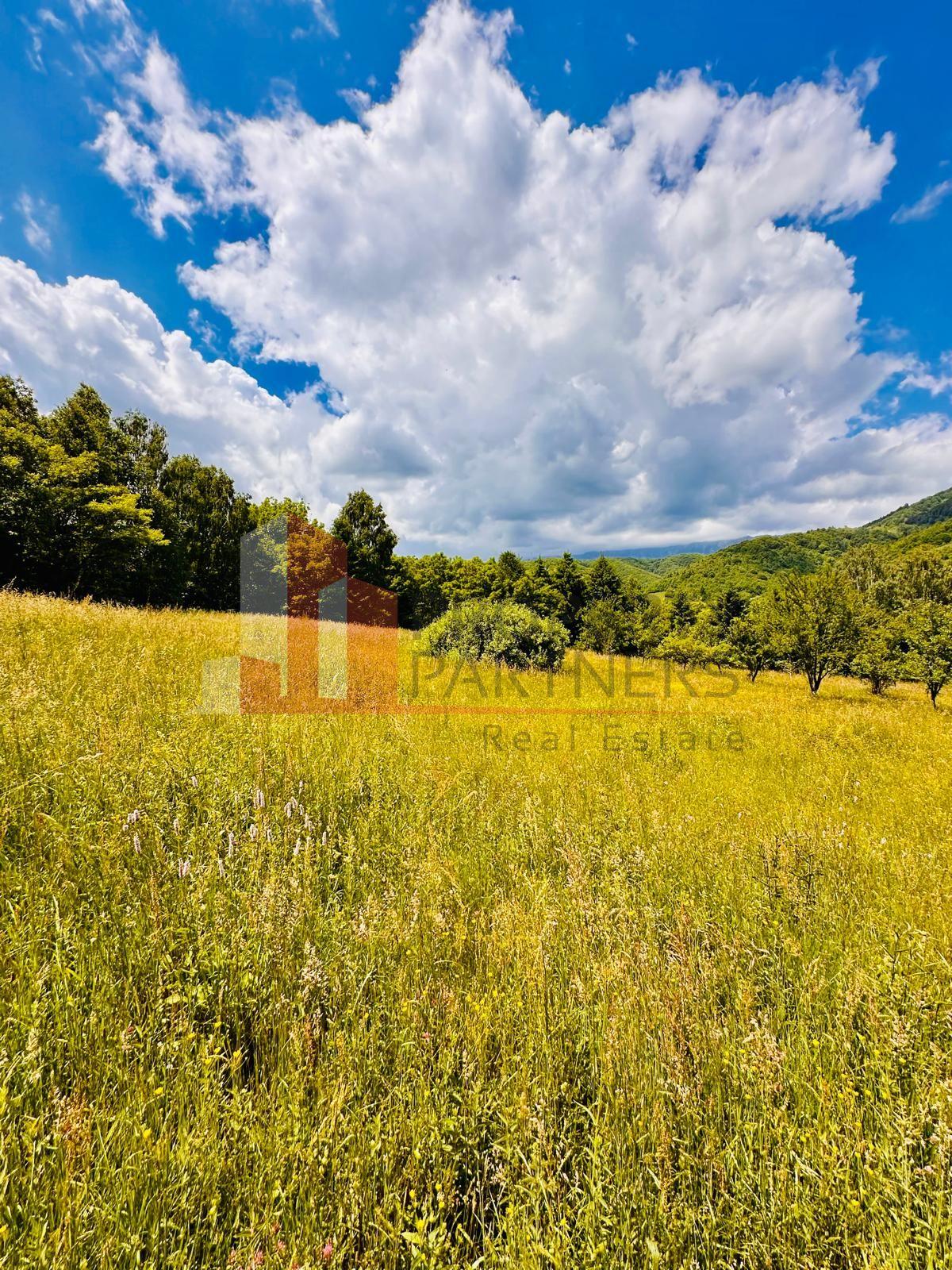 Teren intravilan Bran 2.772 mp | Vedere Piatra Craiului | Potrivit pentru cabane - 11