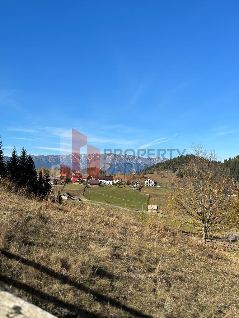Teren Fundatica intravilan 4500 mp - 6