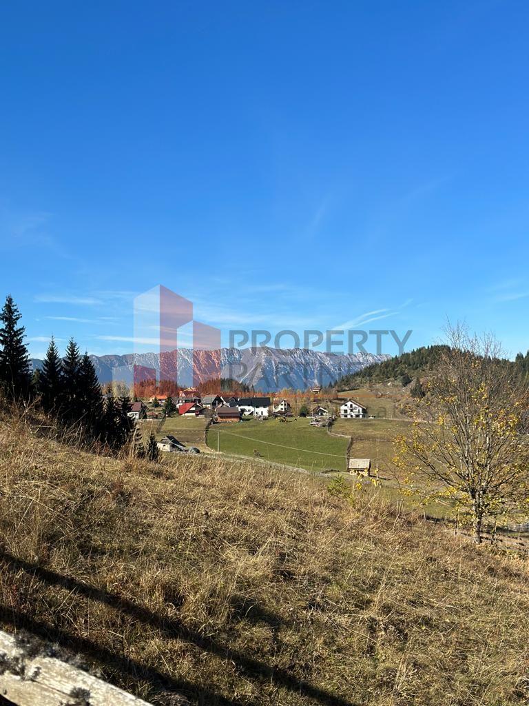 Teren Fundatica intravilan 4500 mp - 18