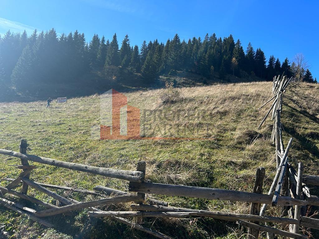 Teren Fundatica intravilan 4500 mp - 11