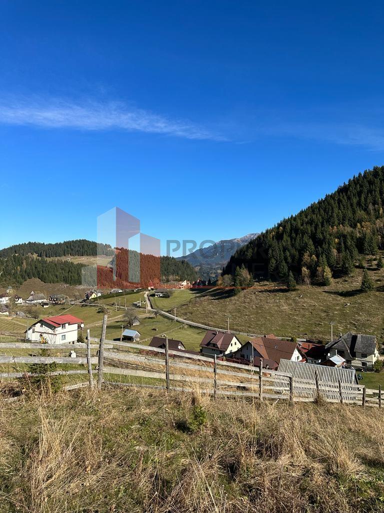 Teren Fundatica intravilan 4500 mp - 17