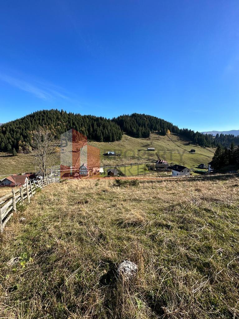 Teren Fundatica intravilan 4500 mp - 9