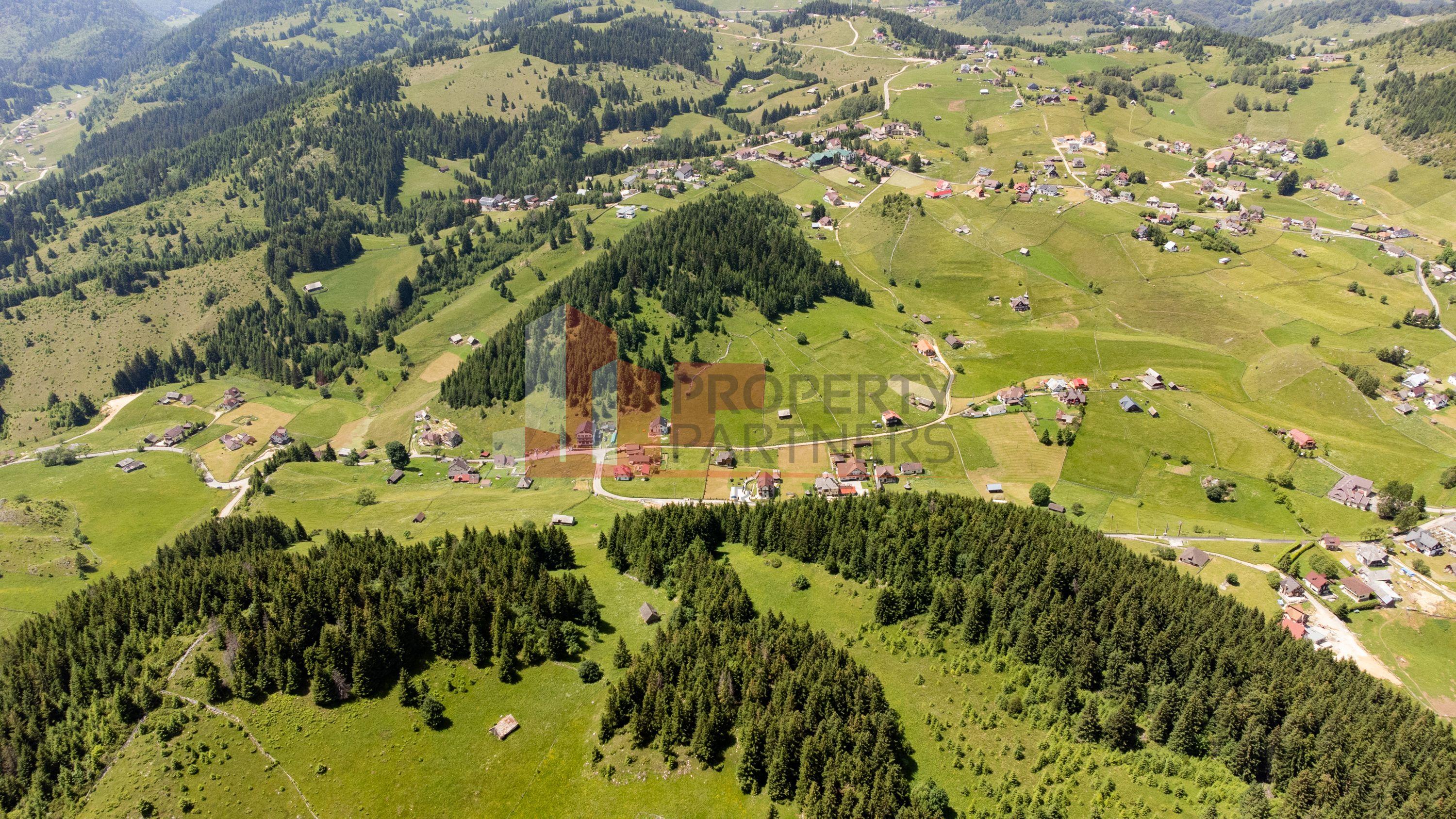 Teren Fundatica intravilan 4500 mp - 5