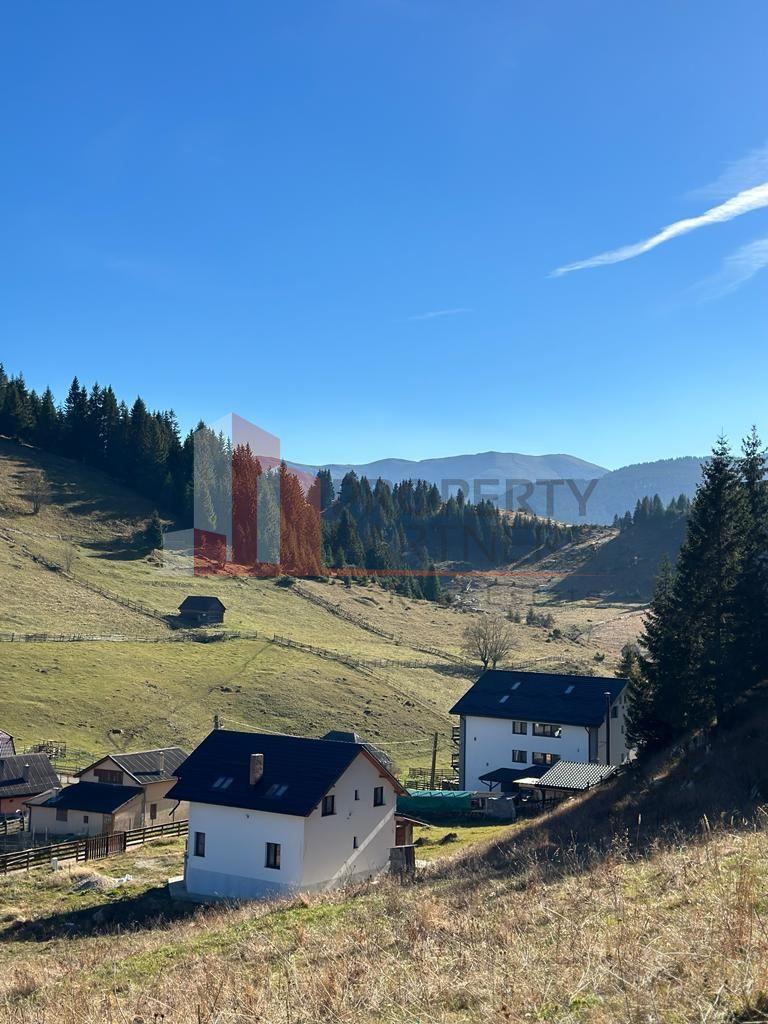 Teren Fundatica intravilan 4500 mp - 8
