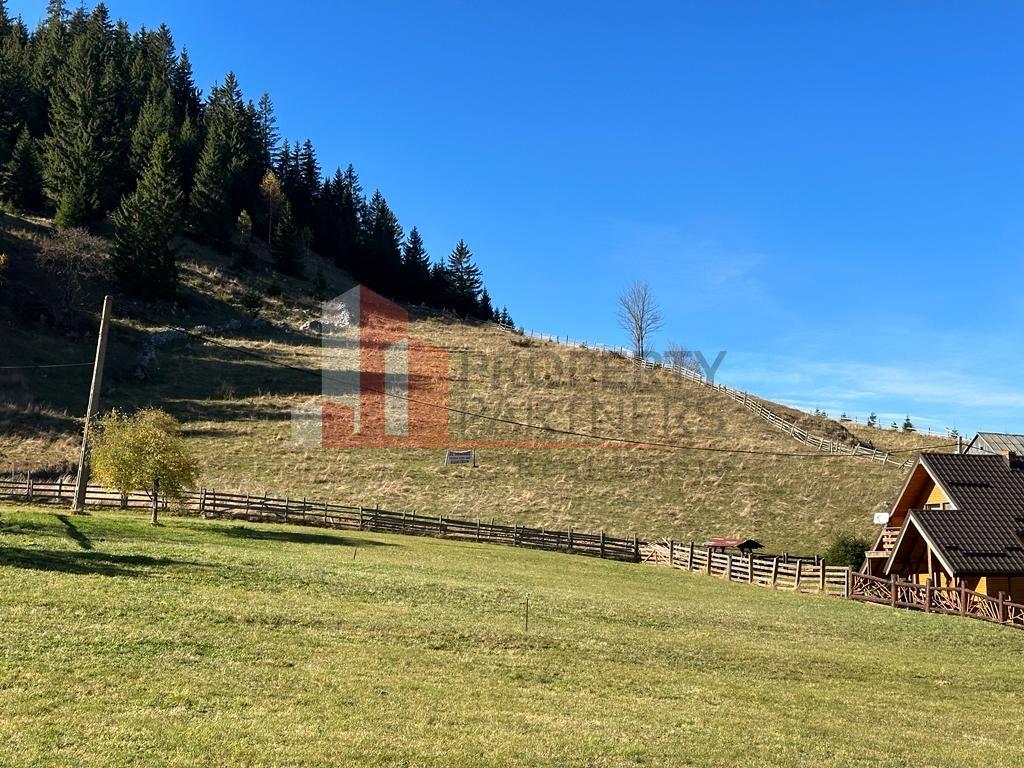 Teren Fundatica intravilan 4500 mp - 14