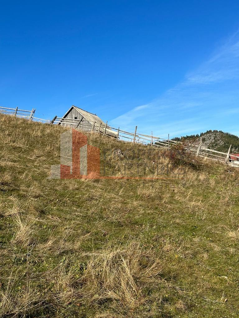 Teren Fundatica intravilan 4500 mp - 10