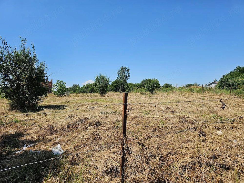 Teren Intravilan 5.000 mp București, Sector 6 (Giulești-Sârbi) - 2