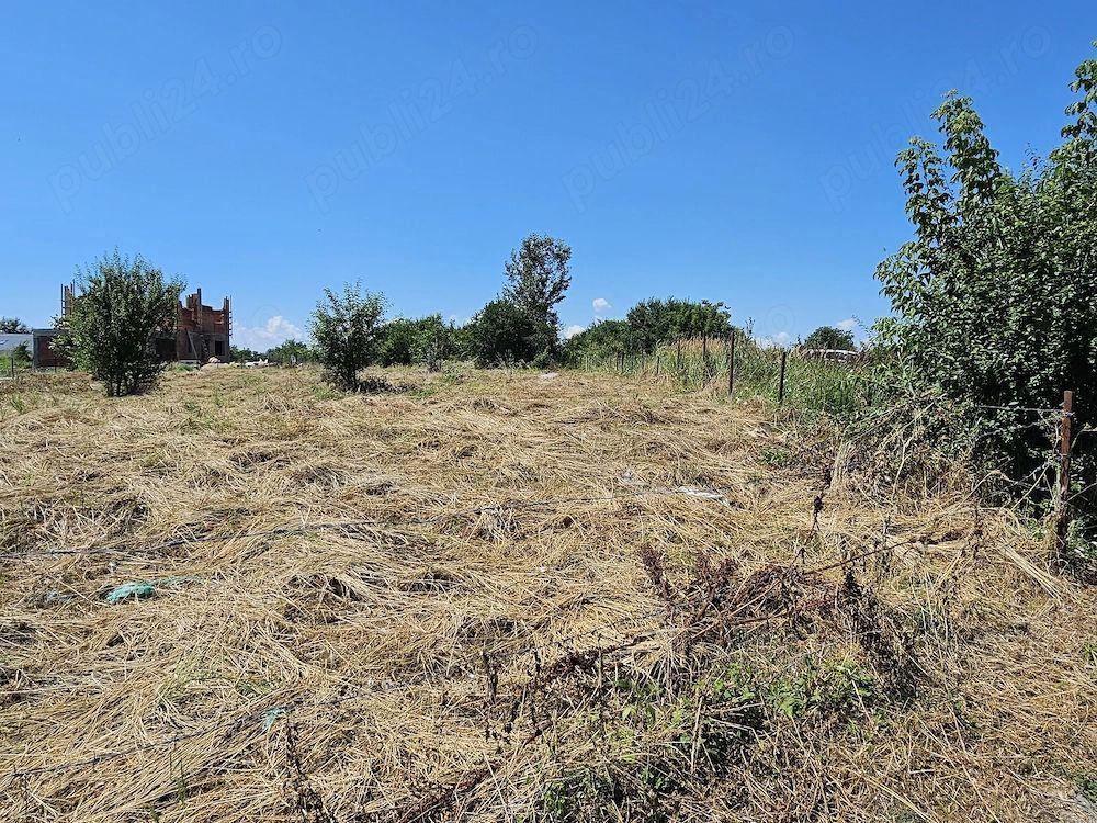 Teren Intravilan 5.000 mp București, Sector 6 (Giulești-Sârbi) - 3