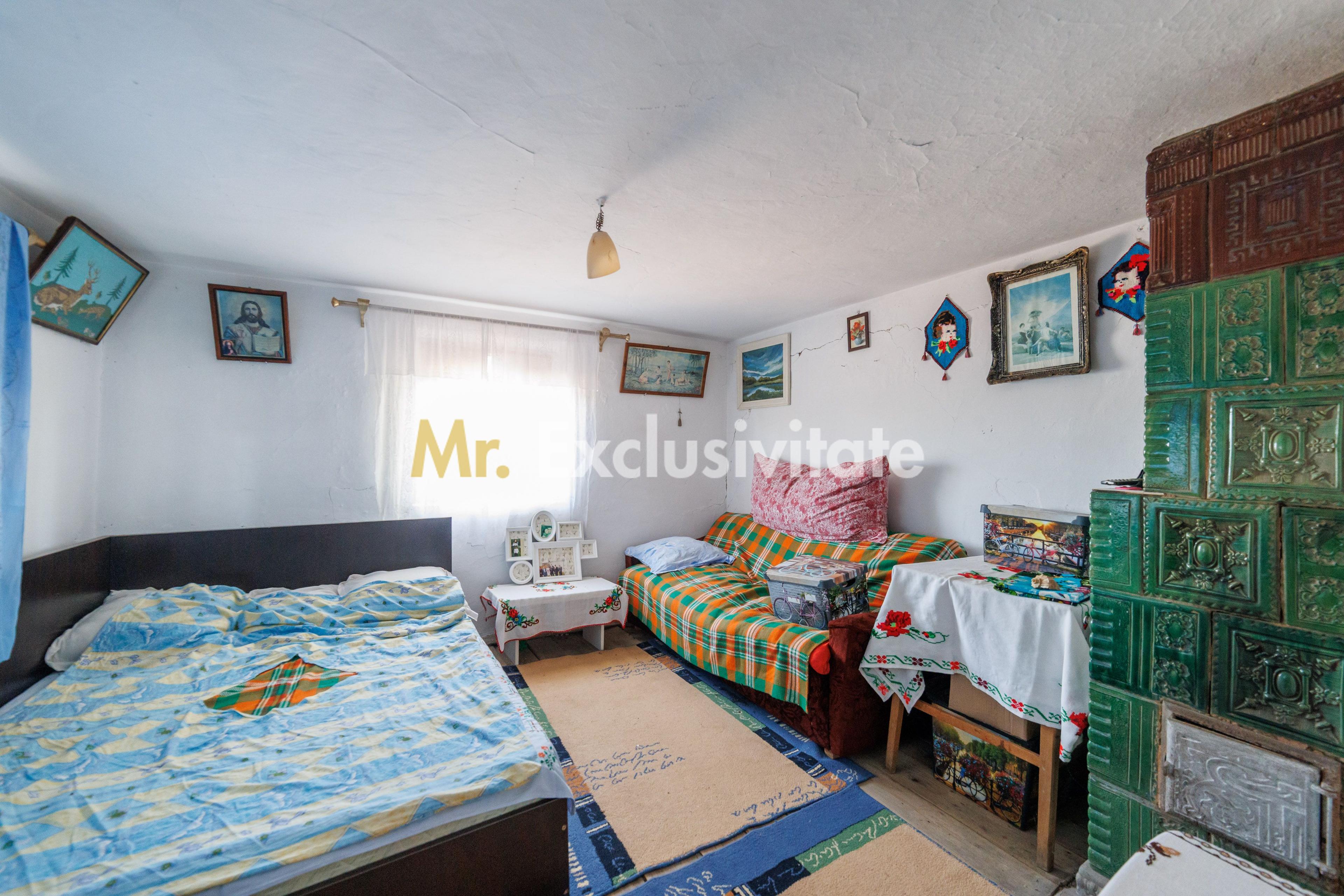 CASA SI GOSPODARIE DE VANZARE – SPINENI, OLT | 4.000 MP TEREN - 11