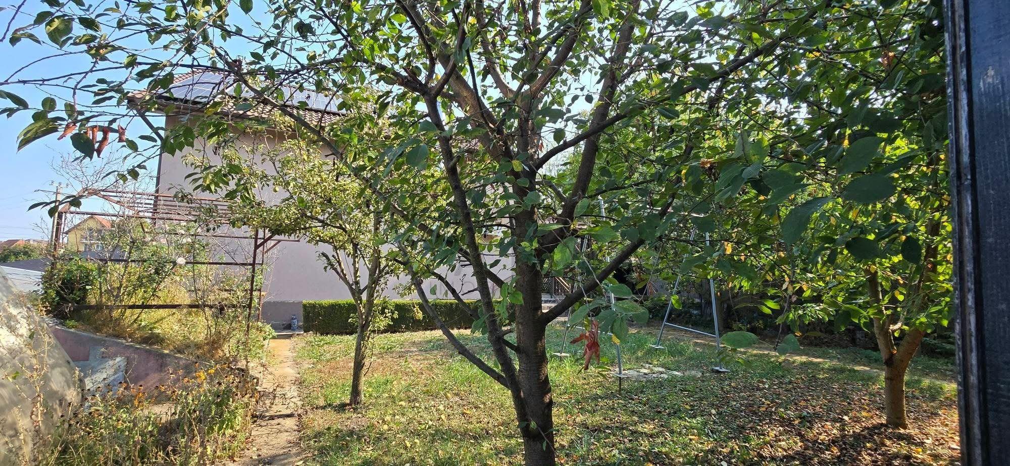 Vand casa unifamiliara in Sângeorgiu de Mures - 2