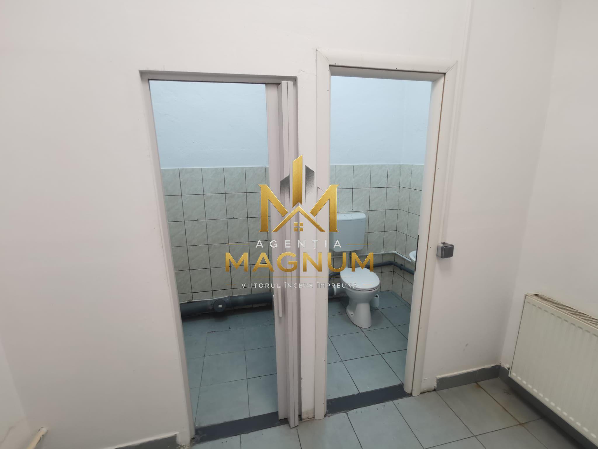 Spatiu comercial de inchiriat - 7