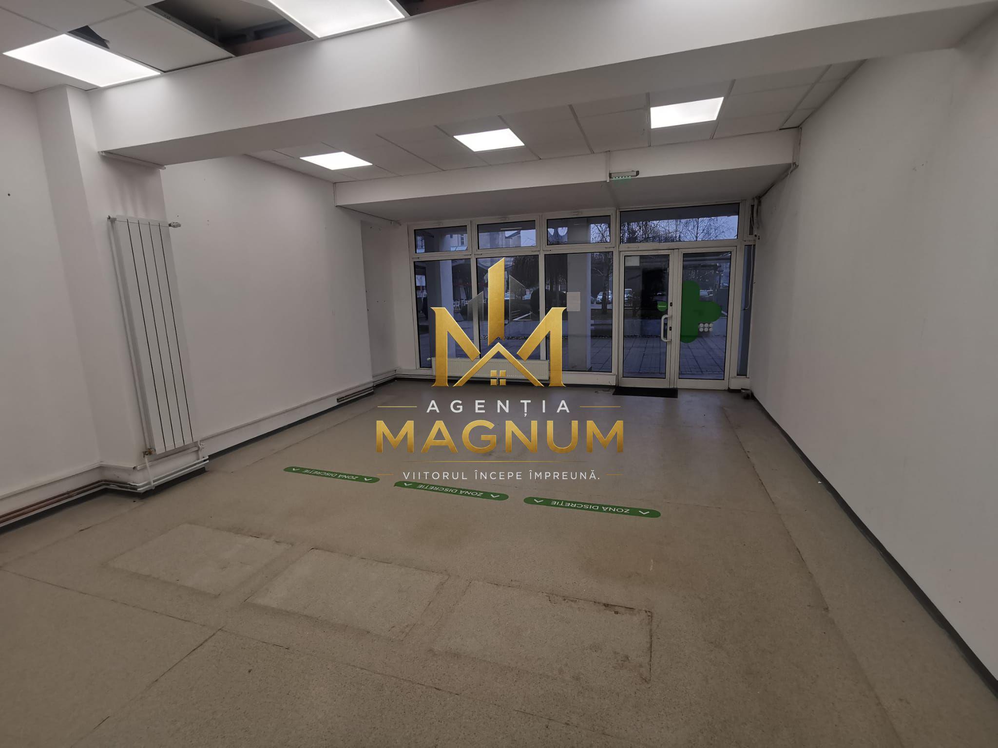 Spatiu comercial de inchiriat - 1