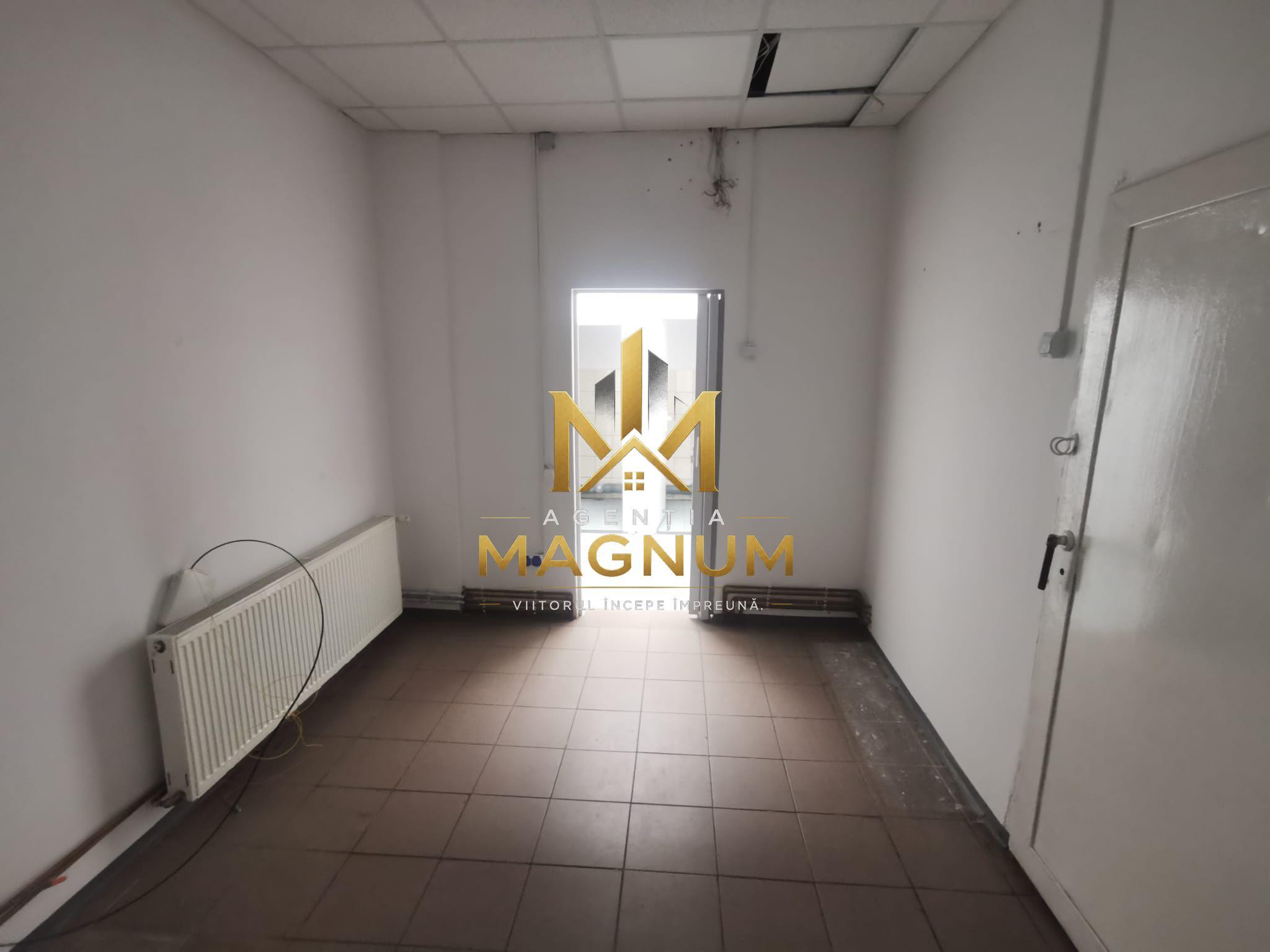 Spatiu comercial de inchiriat - 4