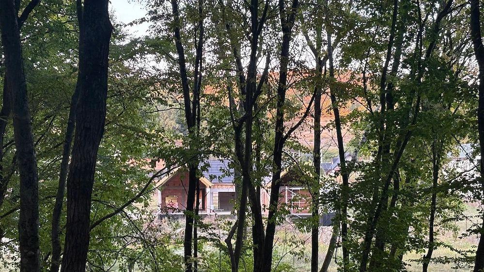 Casa individuala superba, cu arhitectura scandinava, moderna - langa padure, teren generos - 6