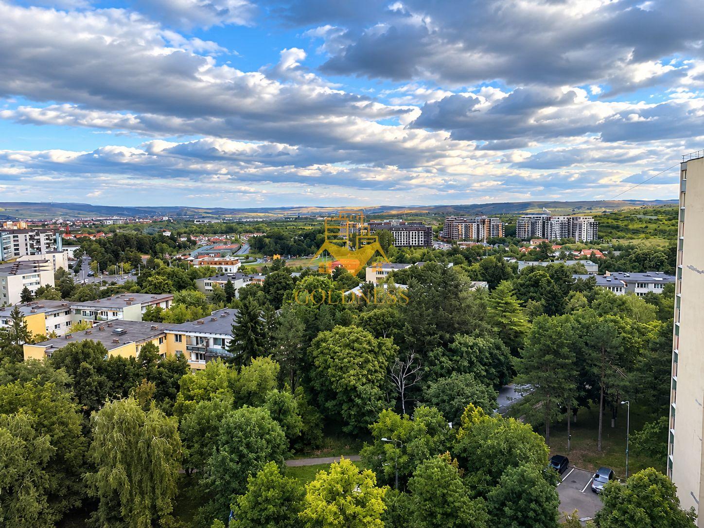Garsoniera, Iulius Mall, FSEGA, Kaufland, Lidl, Gheorgheni, Unirii, - 8