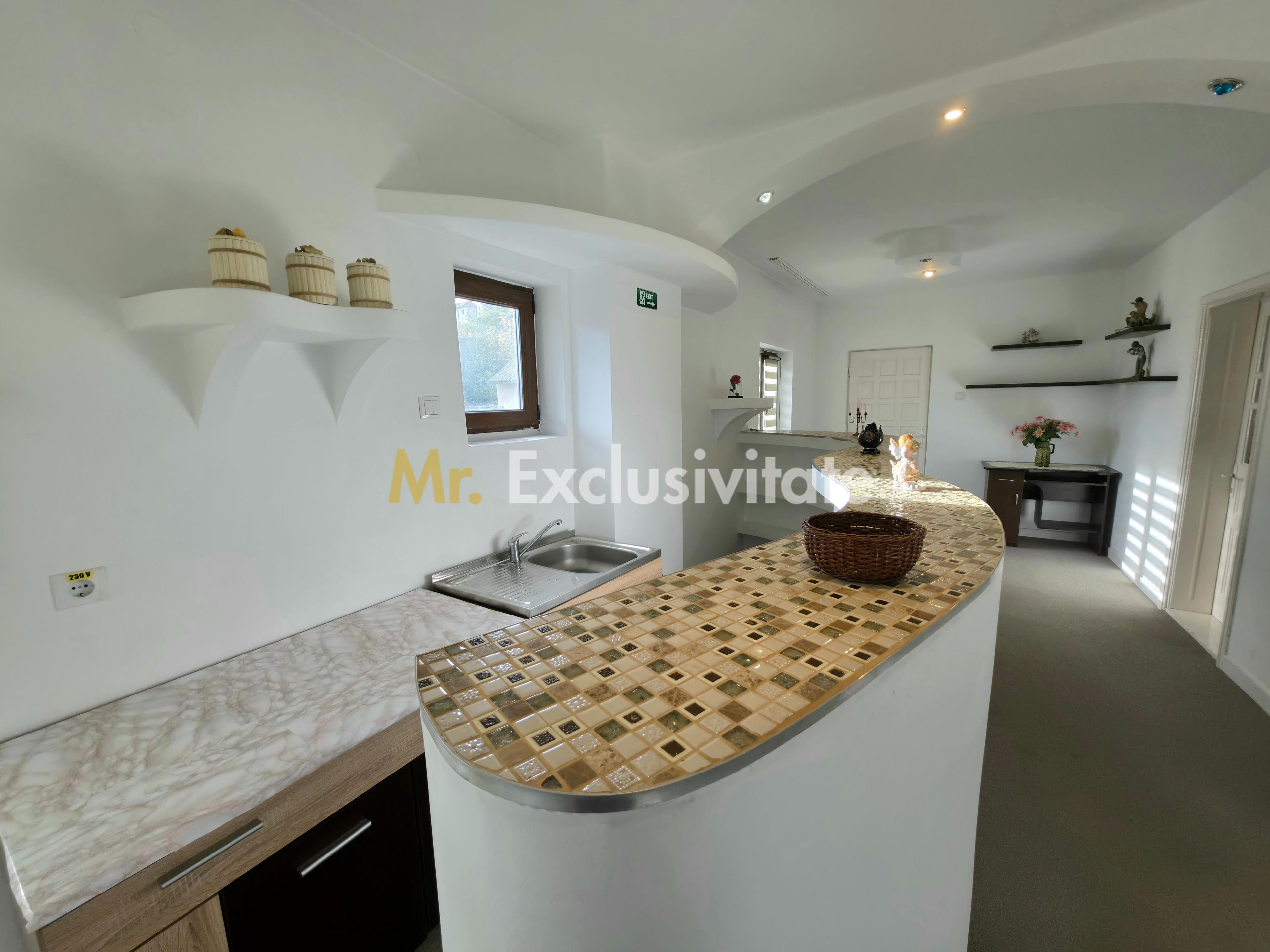 DE INCHIRIAT - Apartament in vila - 2 camere - Str. Trivale - 5