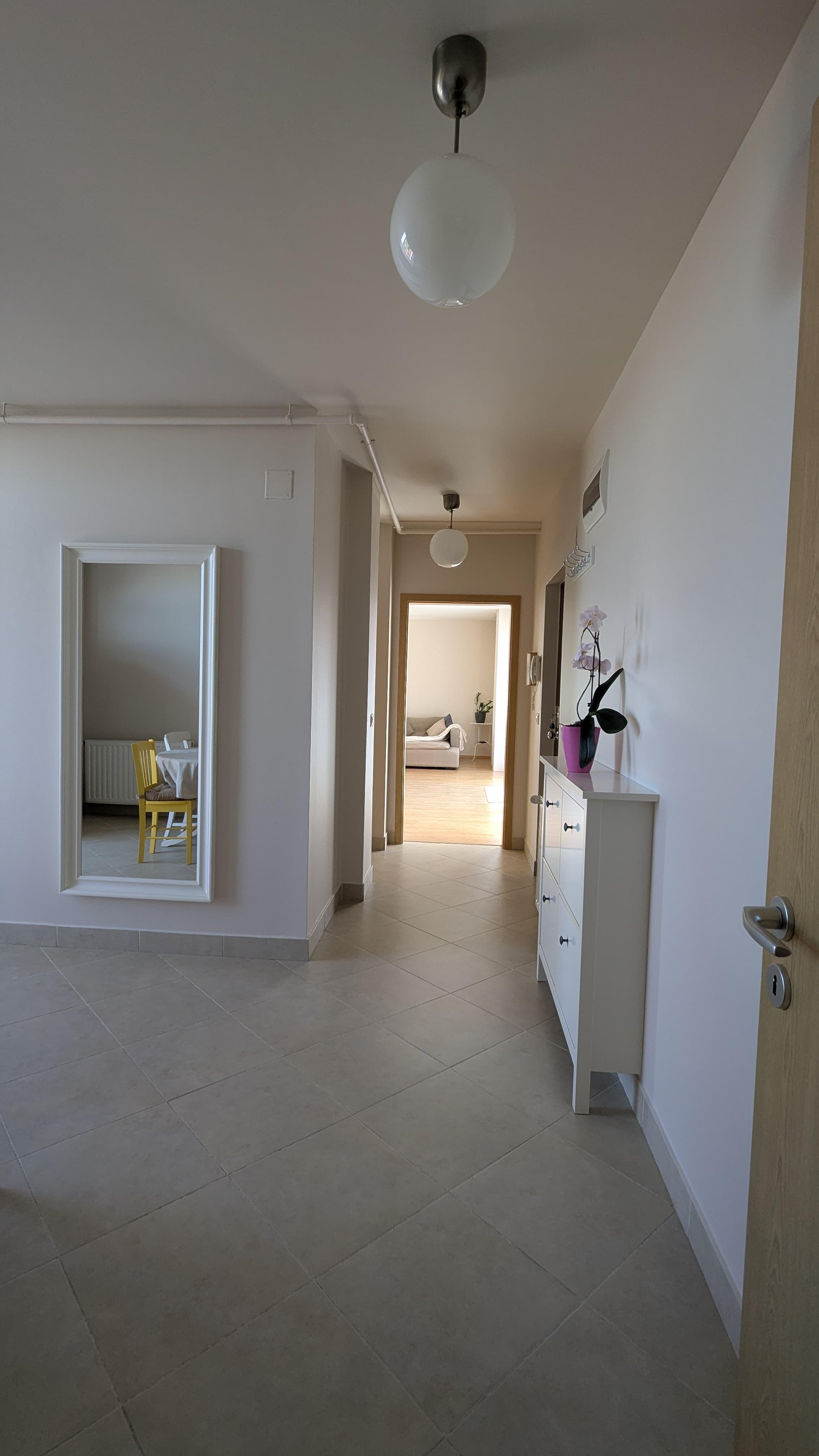 Penthouse, 100 mp utili, 50 mp terase - 1