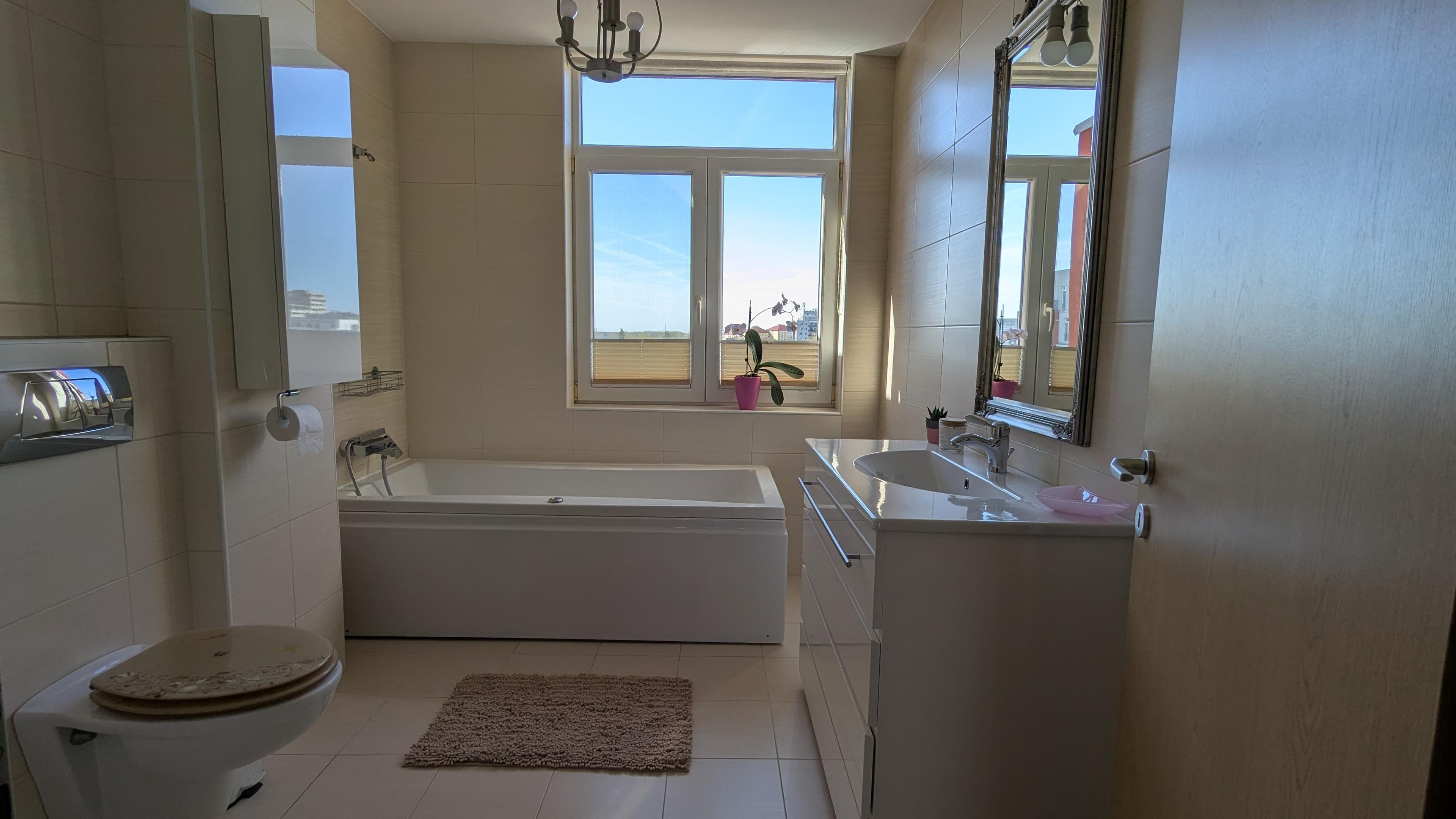Penthouse, 100 mp utili, 50 mp terase - 5