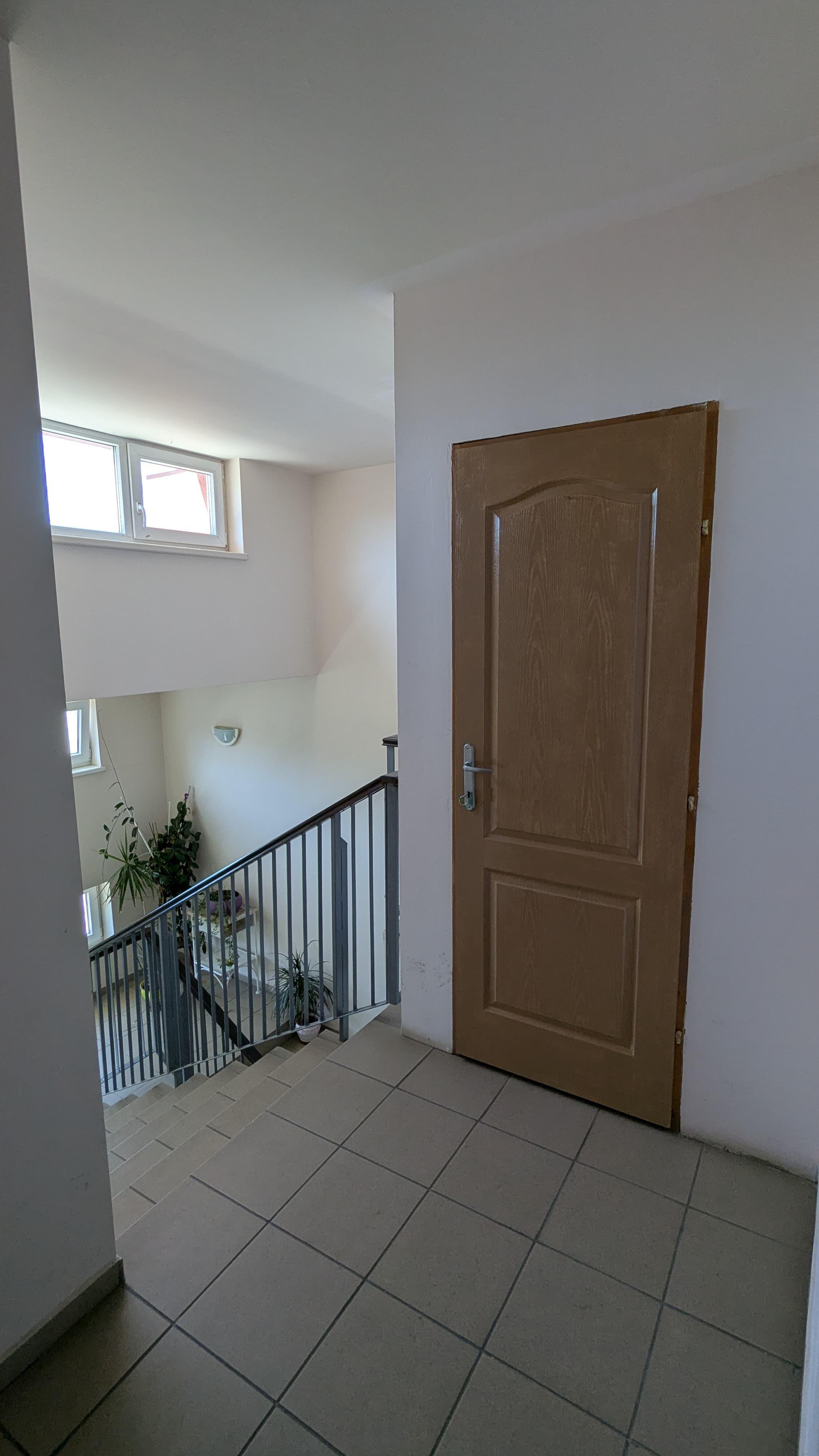Penthouse, 100 mp utili, 50 mp terase - 2