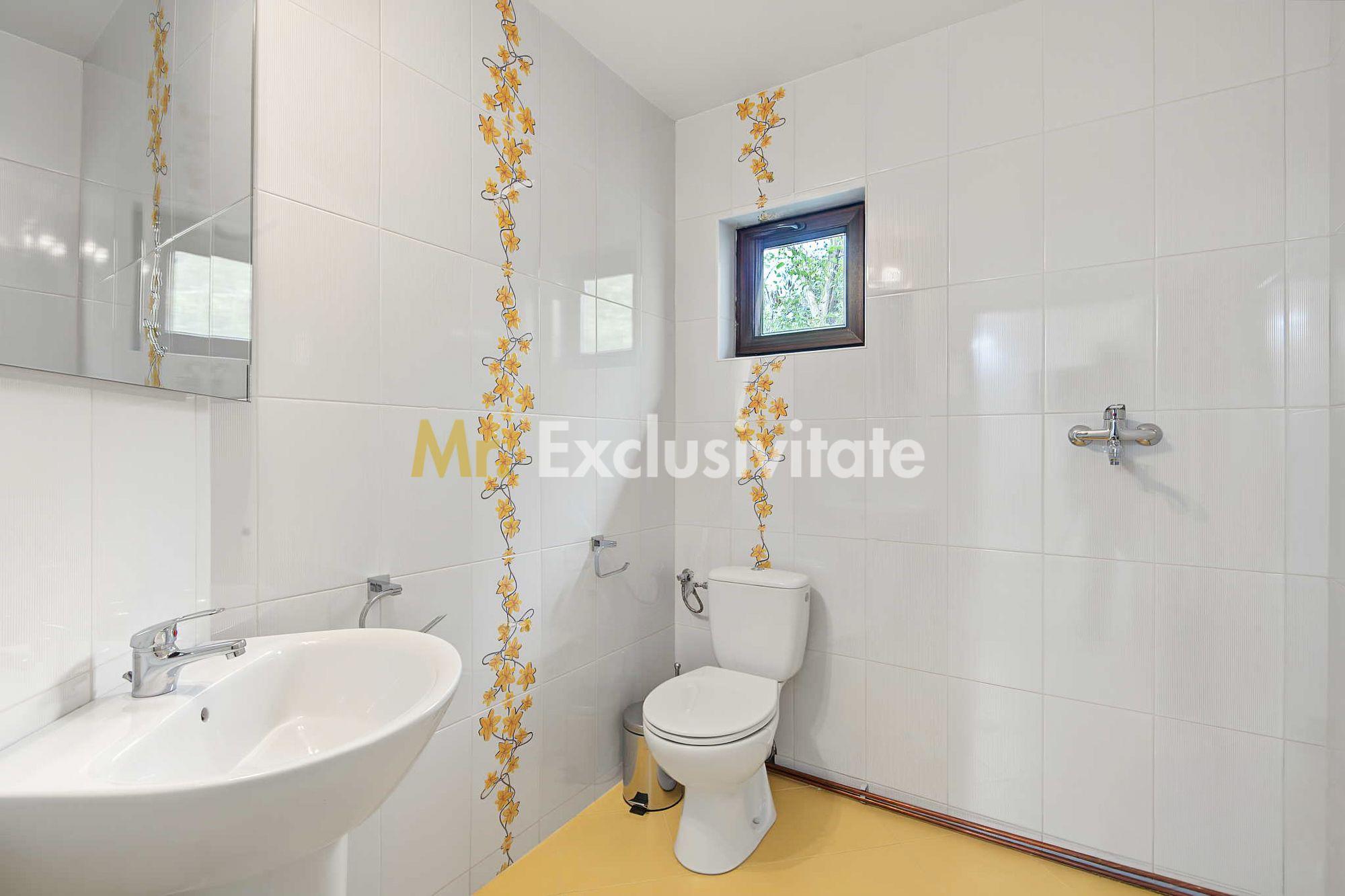 Casa individuala + teren 2.014 mp + livada Mioveni -Colibasi - 7