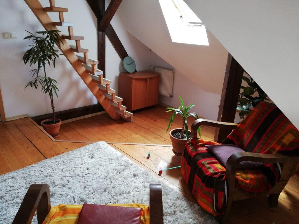 Apartament 4 camere | 175 mp | Bulevardul Victor Babeș | Ideal pentru - 5