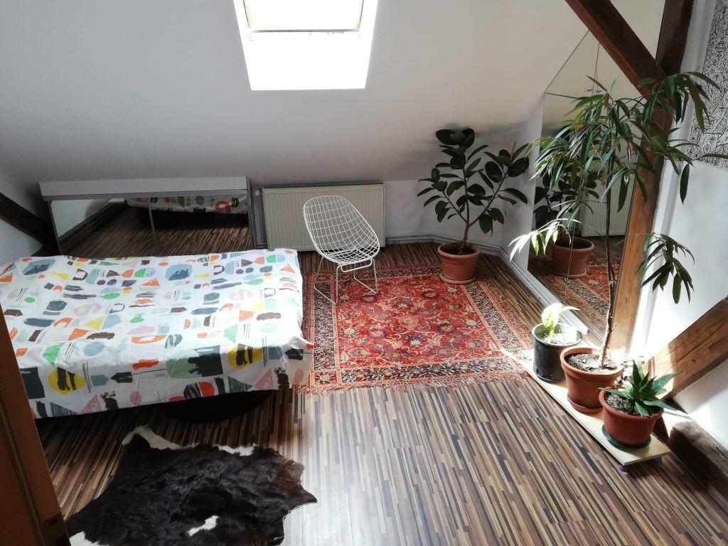 Apartament 4 camere | 175 mp | Bulevardul Victor Babeș | Ideal pentru - 3