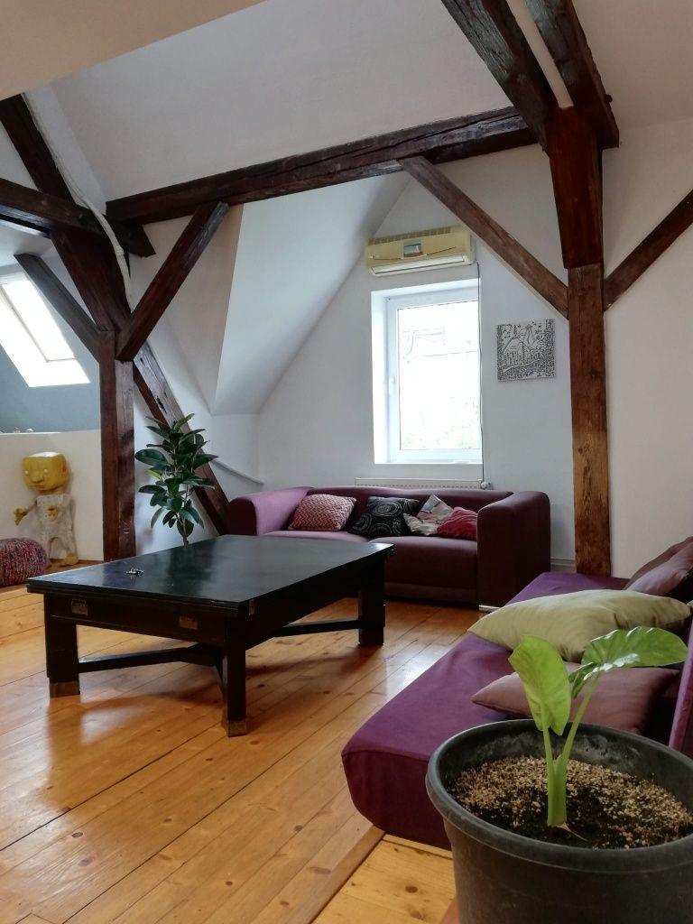 Apartament 4 camere | 175 mp | Bulevardul Victor Babeș | Ideal pentru - 1