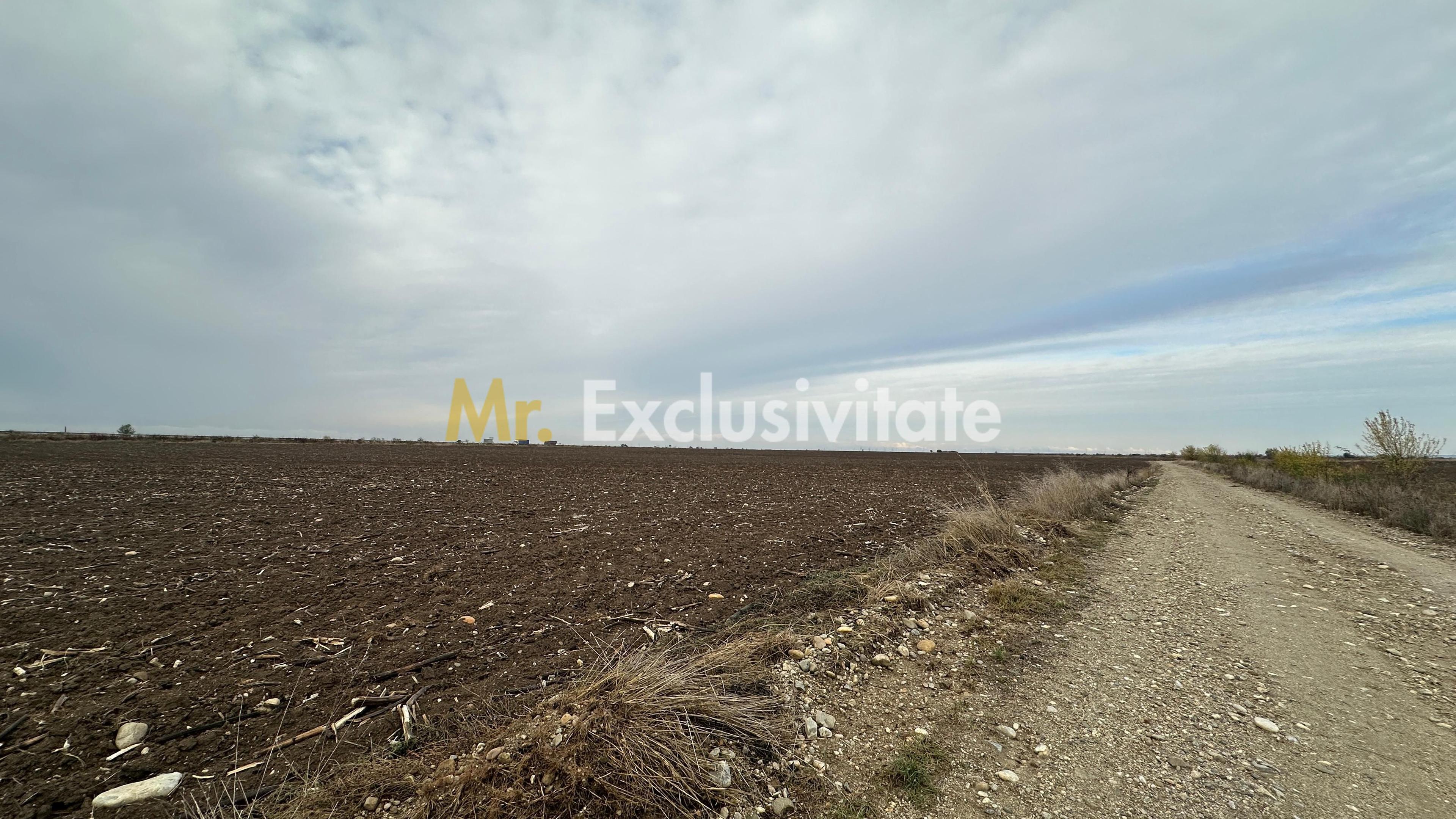 Teren extravilan de vânzare – în apropierea autostrăzii A1, km 80 - 5