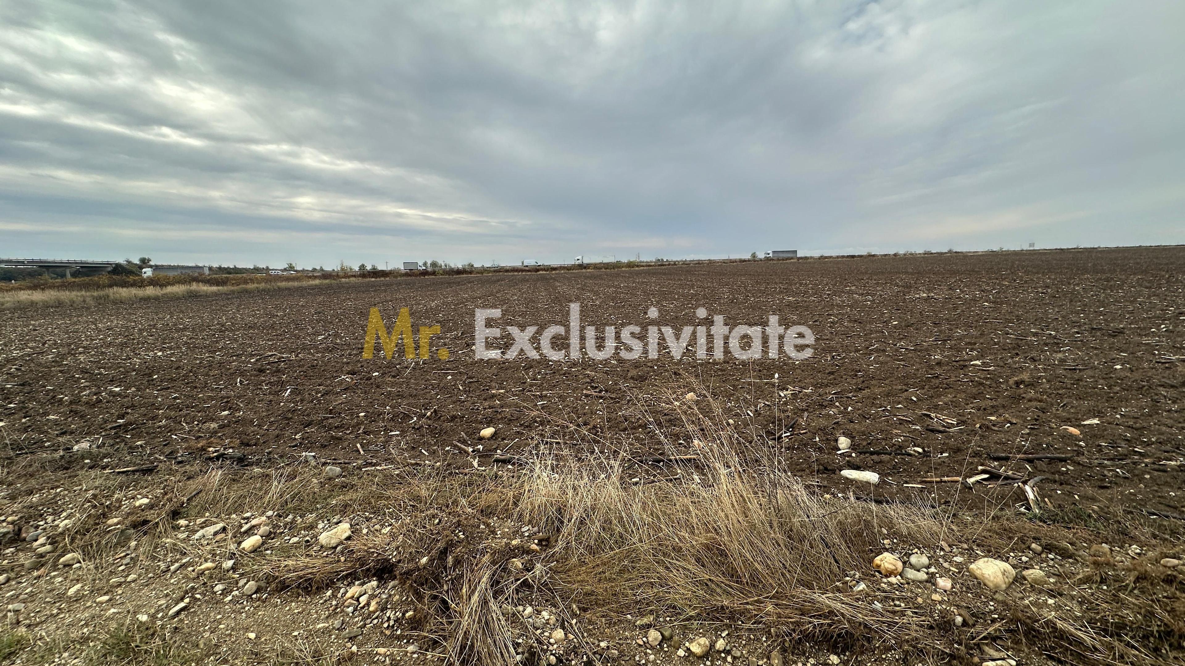 Teren extravilan de vânzare – în apropierea autostrăzii A1, km 80 - 4