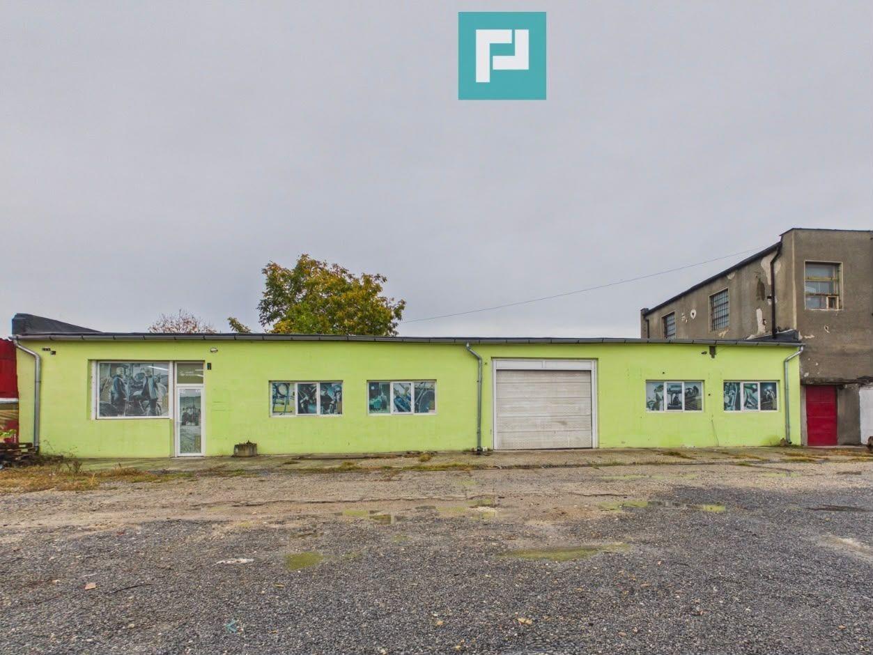 Hală industrială 300mp - Ineu, Arad - 6