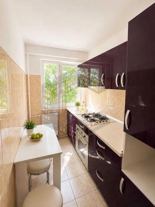 Apartament cu 2 camere, renovat, de vanzare, zona Sagului - 6