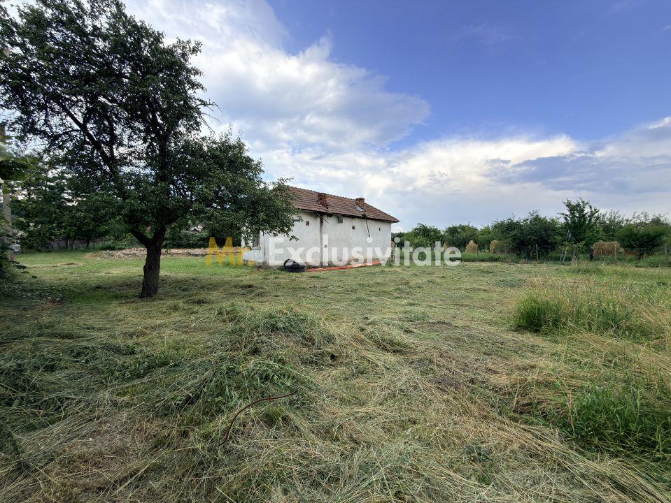 Teren intravilan–2.104 mp | Albești - Transfagarasan - Curtea de Arges - 3