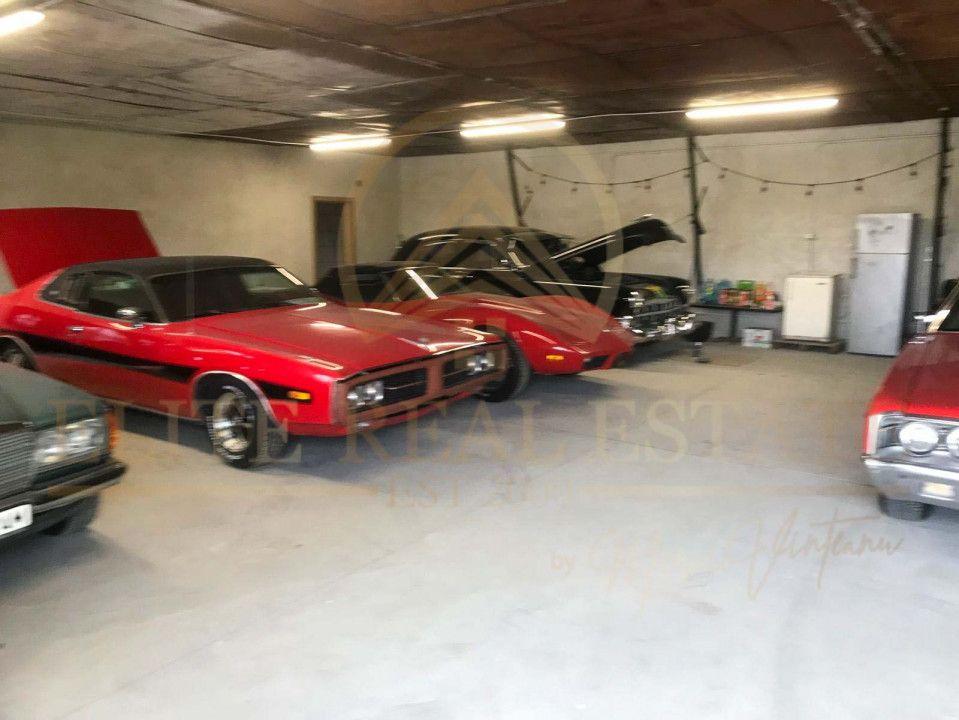 Două hale multifuncționale – Acces rapid către Port și Autostradă! - 7