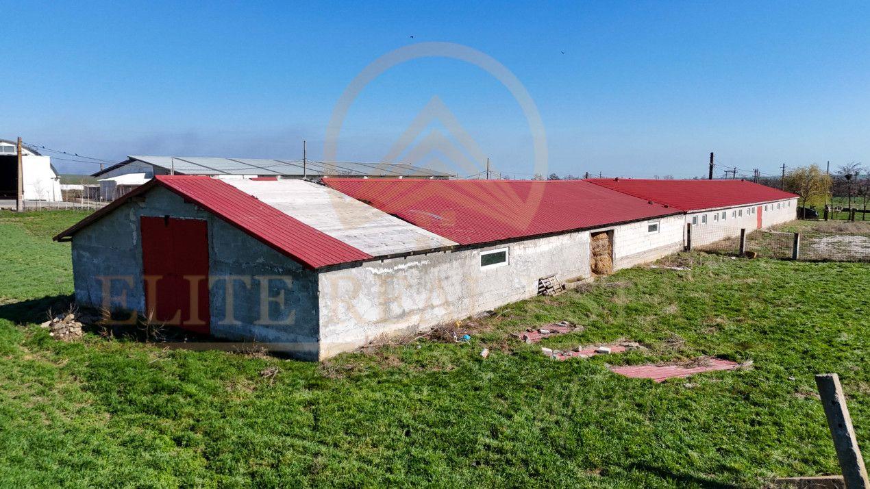 Tariverde - Ferma zootehnica functionala, 3 hectare teren intravilan! - 8