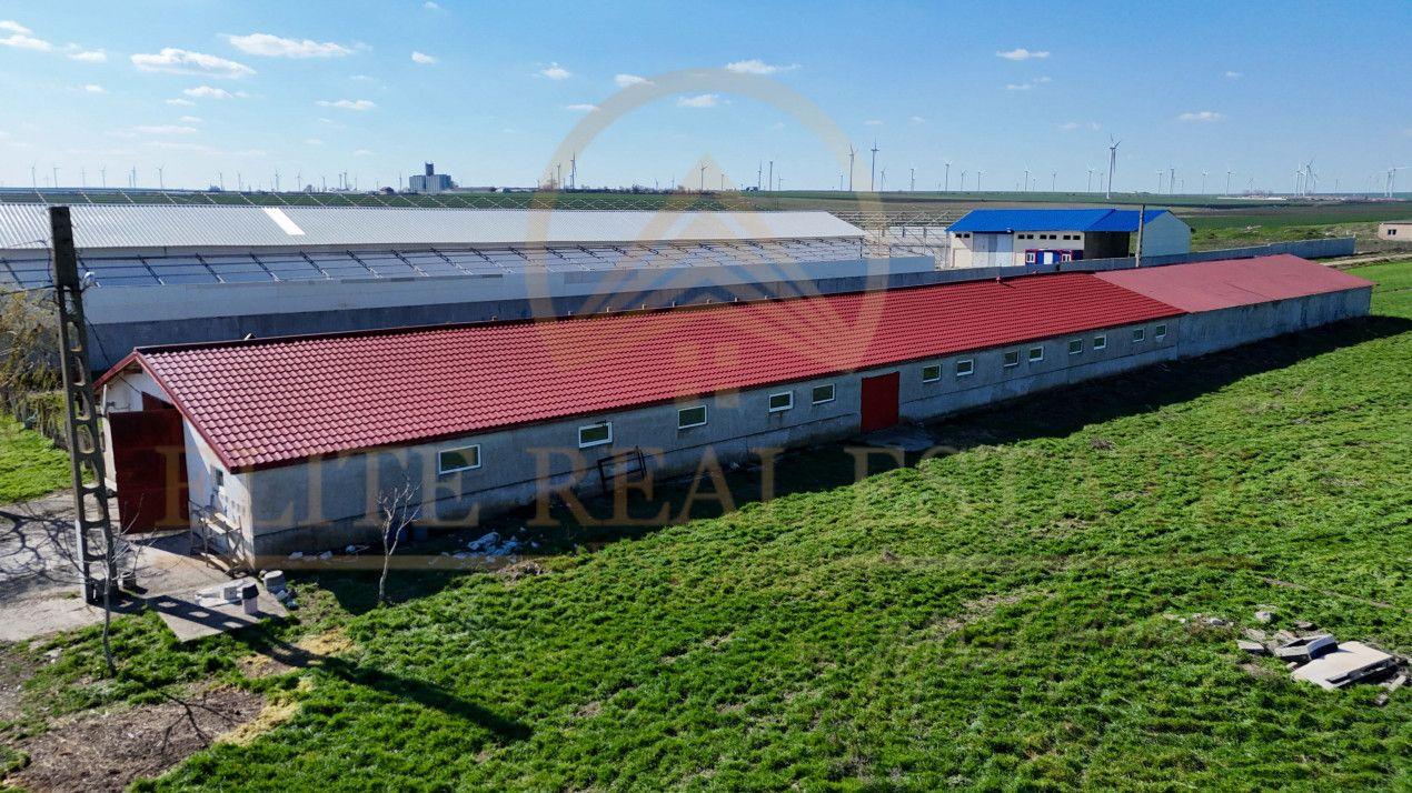 Tariverde - Ferma zootehnica functionala, 3 hectare teren intravilan! - 10