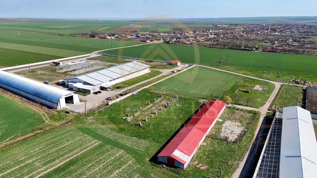 Tariverde - Ferma zootehnica functionala, 3 hectare teren intravilan! - 2