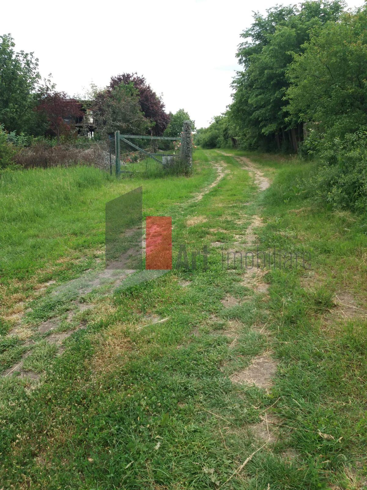 Teren Buftea cu iesire la lac - 2