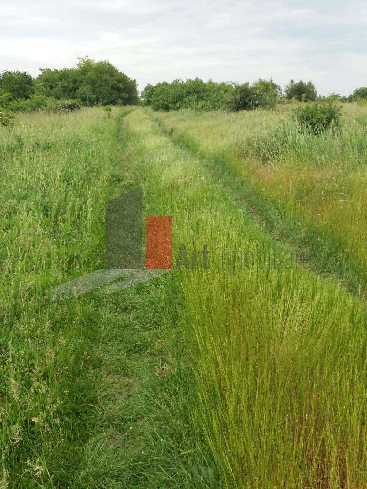Teren Buftea cu iesire la lac - 16