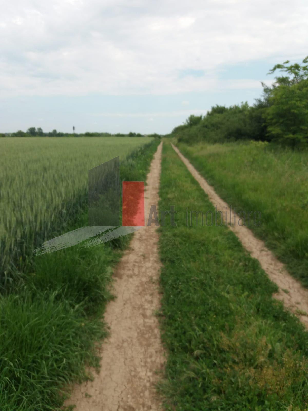 Teren Buftea cu iesire la lac - 3