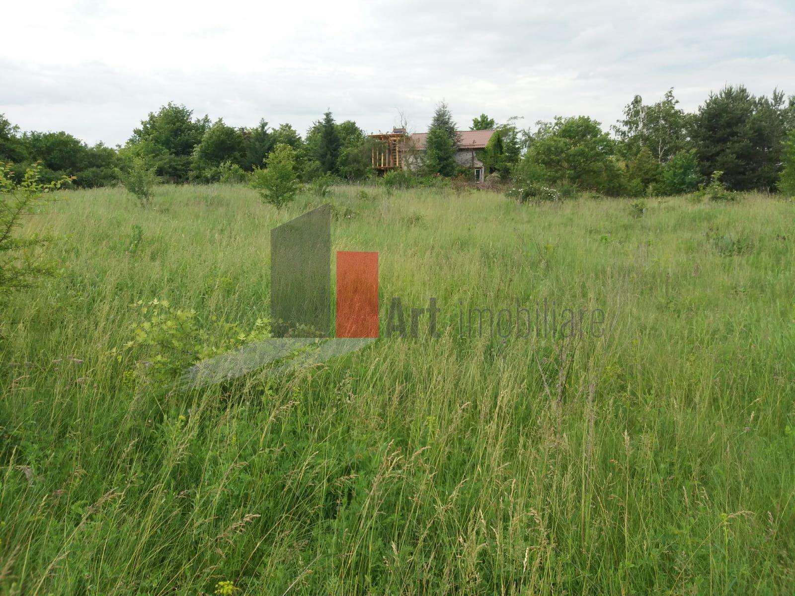 Teren Buftea cu iesire la lac - 26