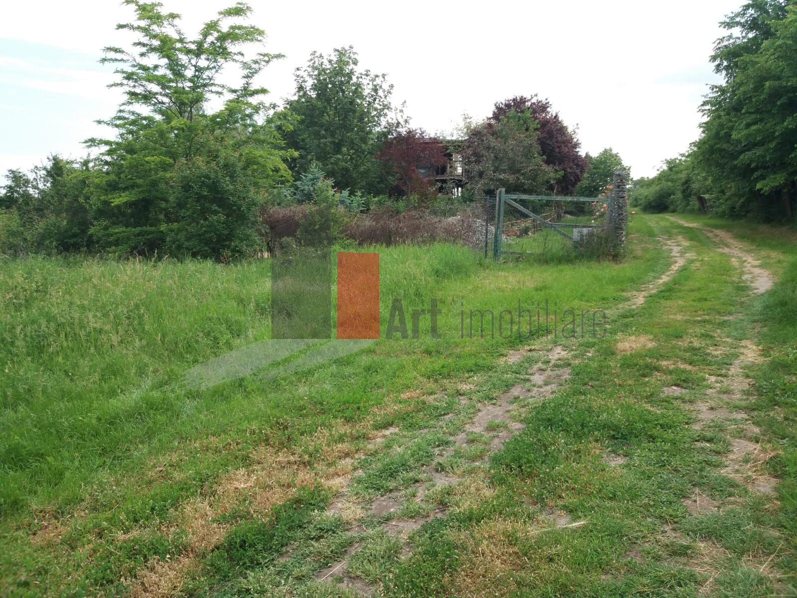 Teren Buftea cu iesire la lac - 5