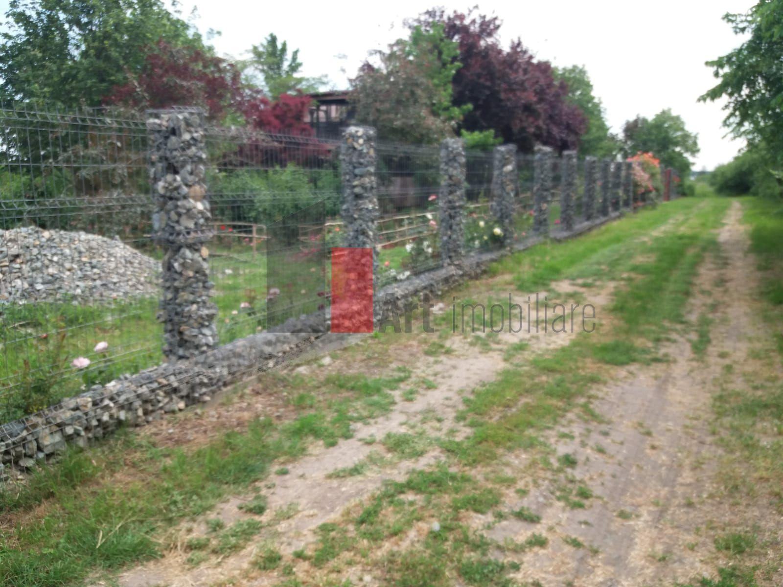 Teren Buftea cu iesire la lac - 8