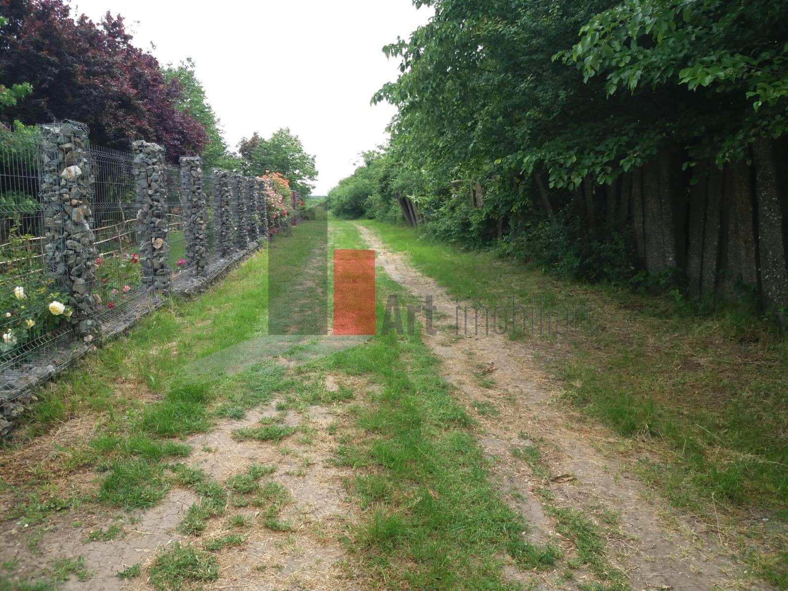 Teren Buftea cu iesire la lac - 9